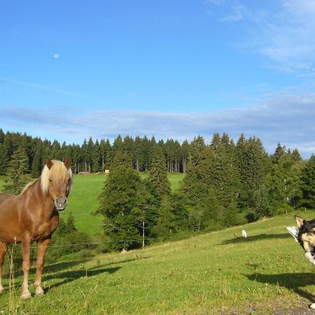 Hoehengasthaus Kolmenhof An Der Donauquelle Furtwangen Exterior foto
