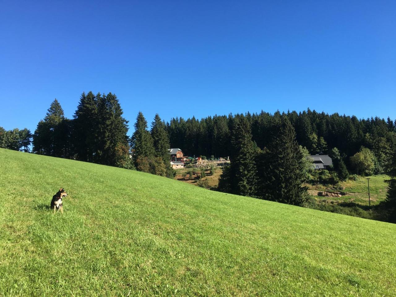 Hoehengasthaus Kolmenhof An Der Donauquelle Furtwangen Exterior foto